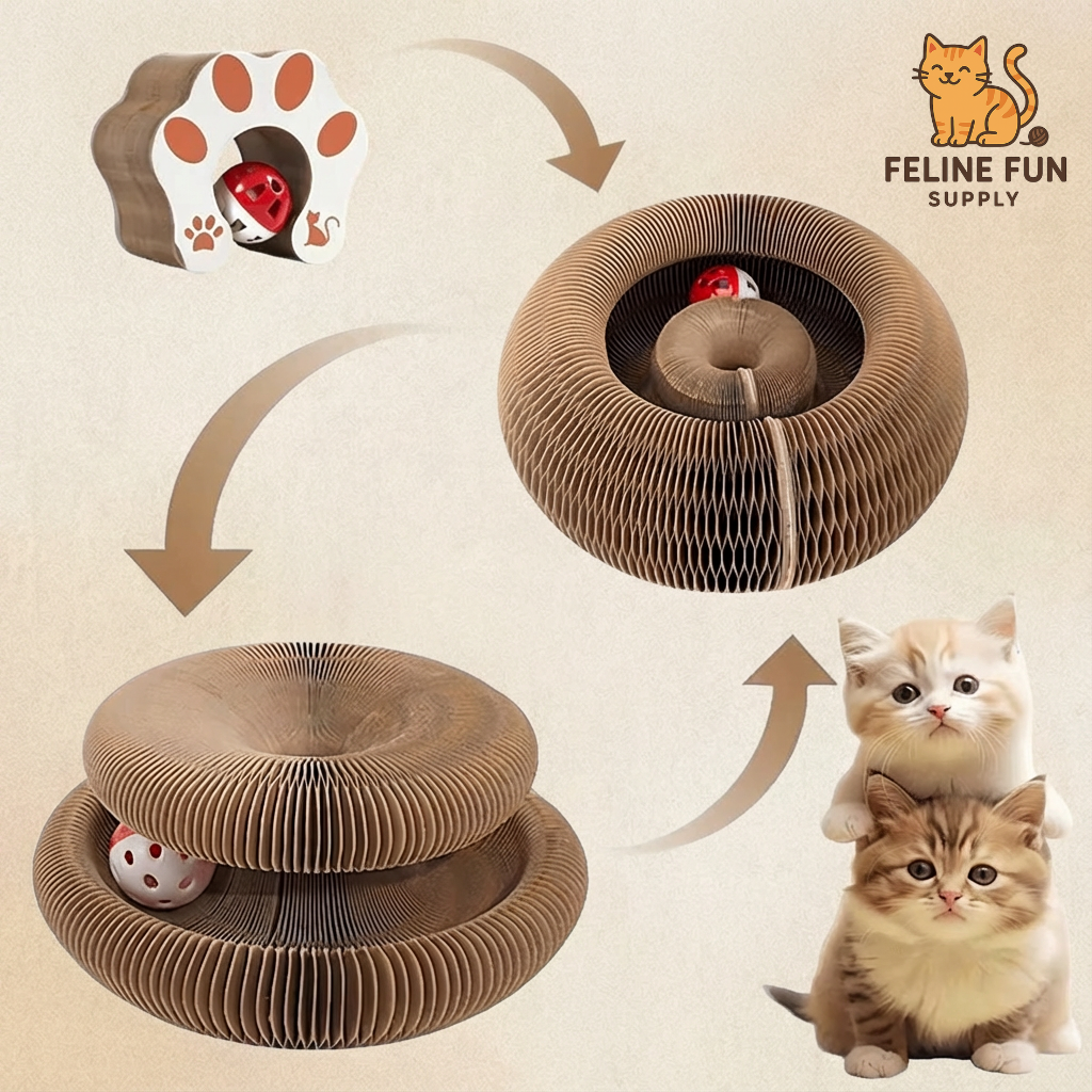 MeowNest™ Scratch & Play